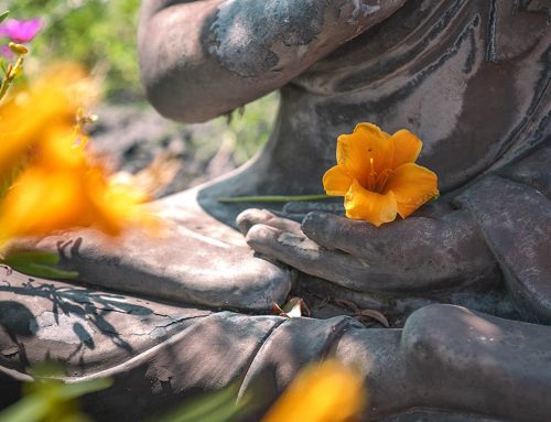 Il nuovo volto del Sintomo